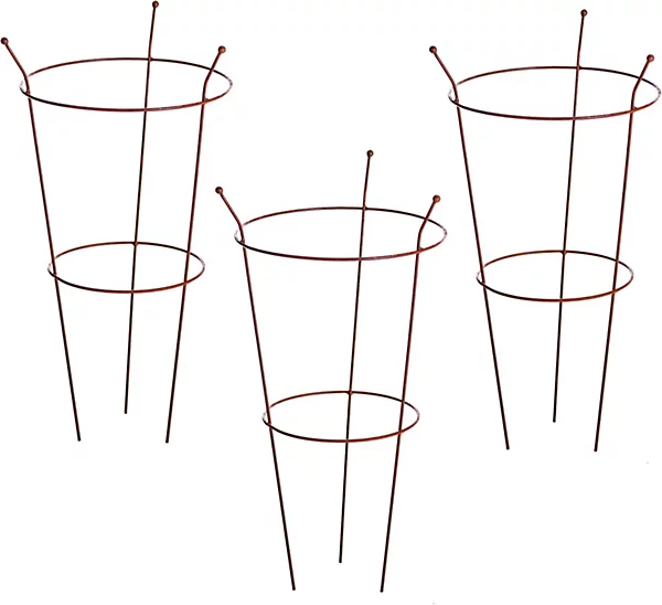 Corten Peony Plant Frame.