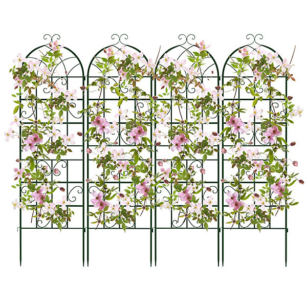 Garden Trellis for Climbing Plants.